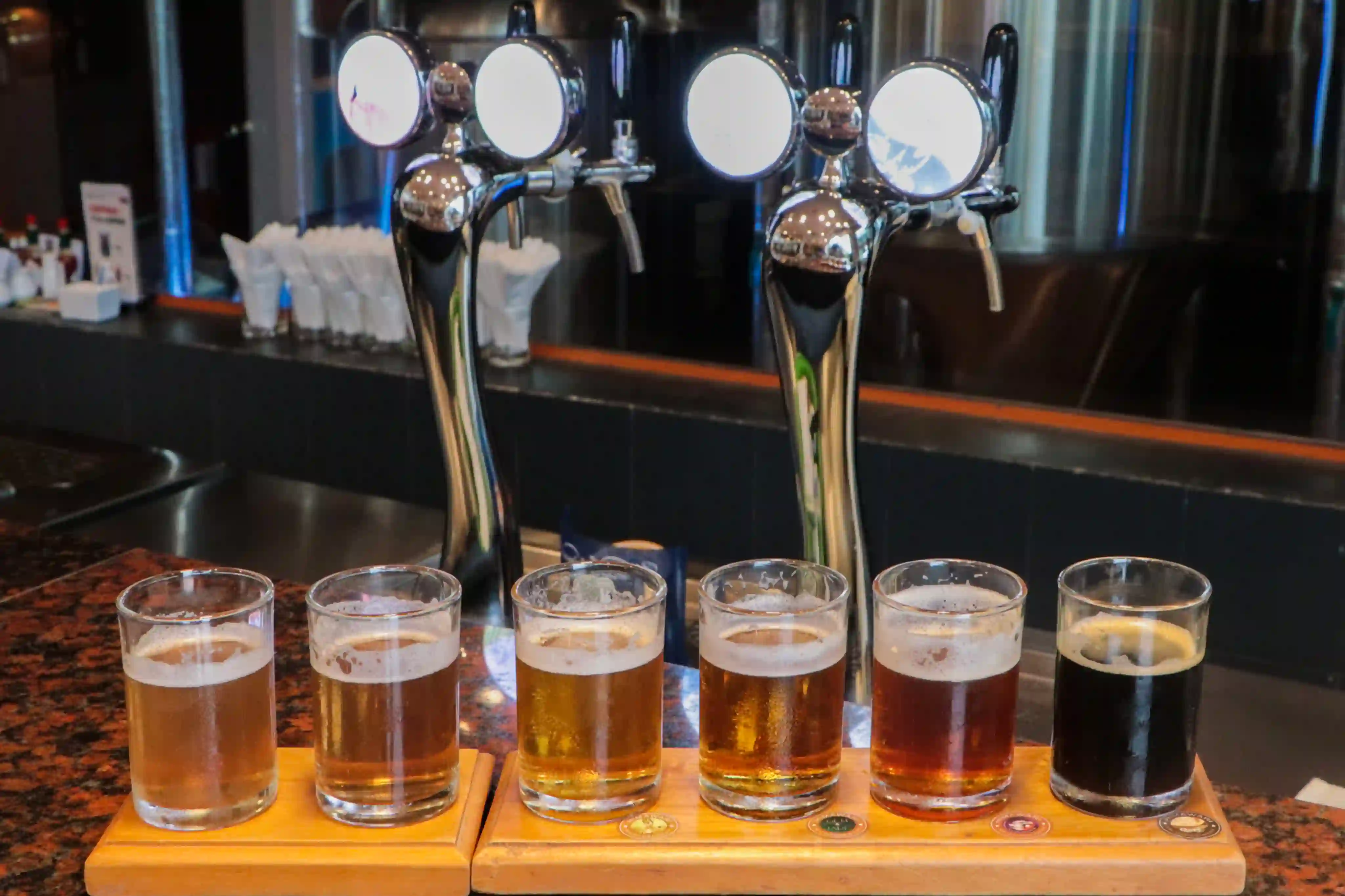 Beer Tasting_Serva Travel 